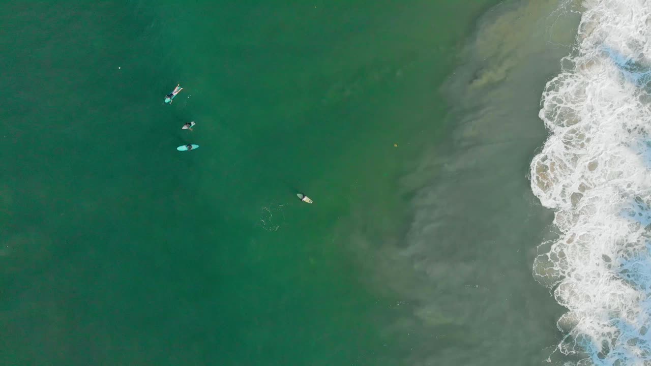 인도 남부 케랄라 바르칼라 해변에서 서핑하는 사람들의 4k 하향식 공중 촬영