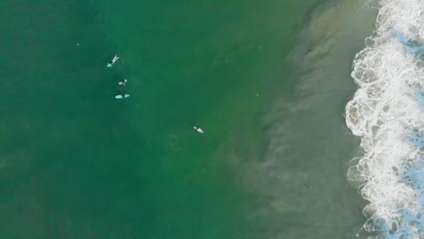 4k-Top-Down-Aerial-Shot-of-people-surfing-in-Varkala-Beach,-Kerala,-South-India