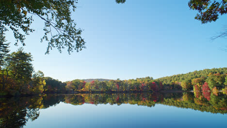 a tilt reveal beginning with branches against a blue sky shows colorful autumn trees reflecting in a clear lake in this new england scene