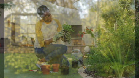 gardening in sunny backyard, man with tools tending potted plants