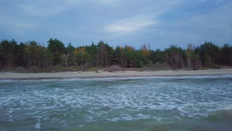 Beautiful-aerial-establishing-view-of-Baltic-sea-coast-on-a-sunny-evening,-sunset,-golden-hour,-beach-with-white-sand,-coastal-erosion,-climate-changes,-wide-angle-drone-shot-moving-forward