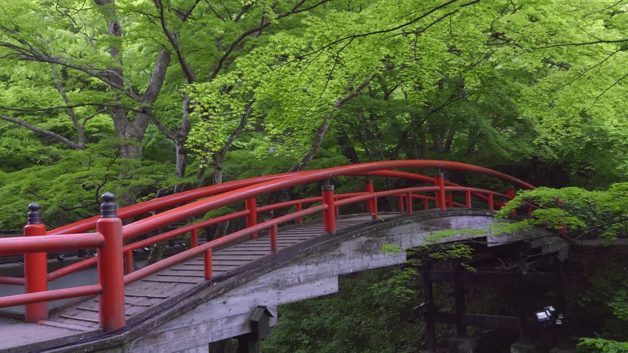 Stunning red wooden bridge in typical Japanese architecture design in lush green forest