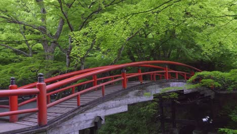 stunning red wooden bridge in typical japanese architecture design in lush green forest