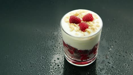 yogurt dessert with raspberry