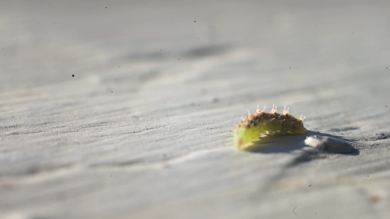 아주 작은 일이 조심스럽게 움직인다