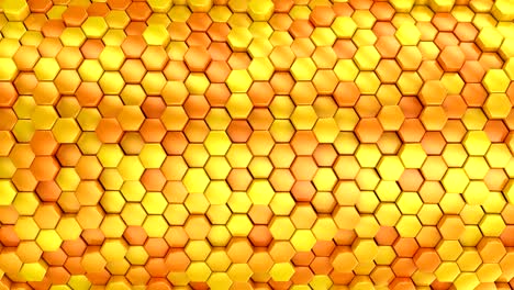 el fondo de los hexágonos