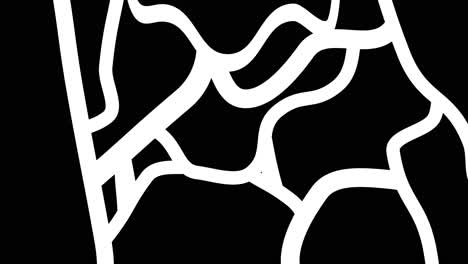 abstract black and white animated pattern