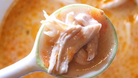 spoonful of creamy chicken soup