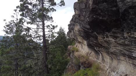 Aufschlussreiche-Luftaufnahme-Von-Den-Bäumen-Und-In-Der-Nähe-Der-Steilen-Felsklippen,-Aufgenommen-In-Wilder-Bergregion-Und-Unberührter-Natur-In-Patagonien,-Argentinien,-Südamerika