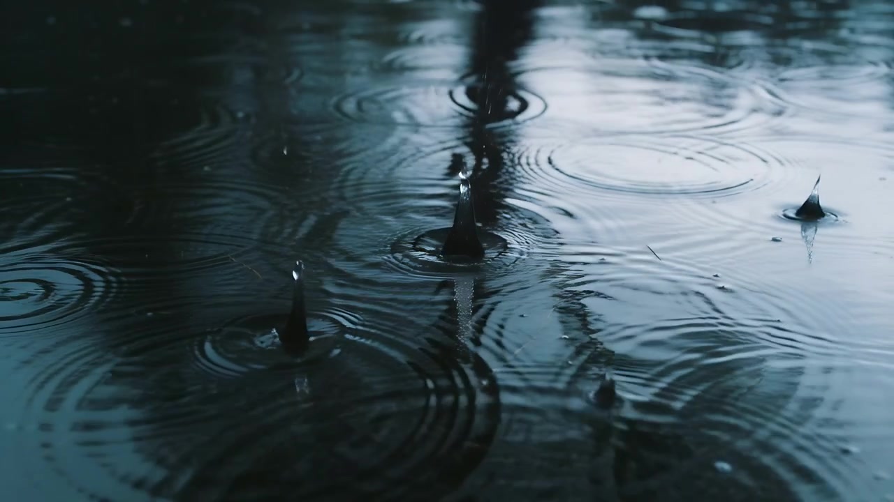 Falling drops striking puddle making crowns expanding rings and fading reflection during rain