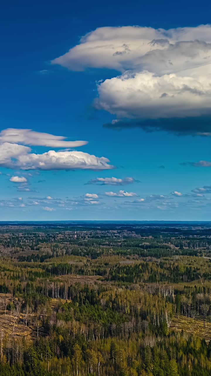 Dramatic white clouds moving swiftly across a blue sky above an endless green and autumn forest landscape in Latvia - Vertical time lapse