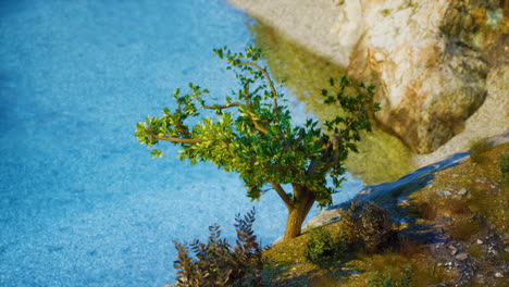 un árbol creciendo en un acantilado con vistas al mar