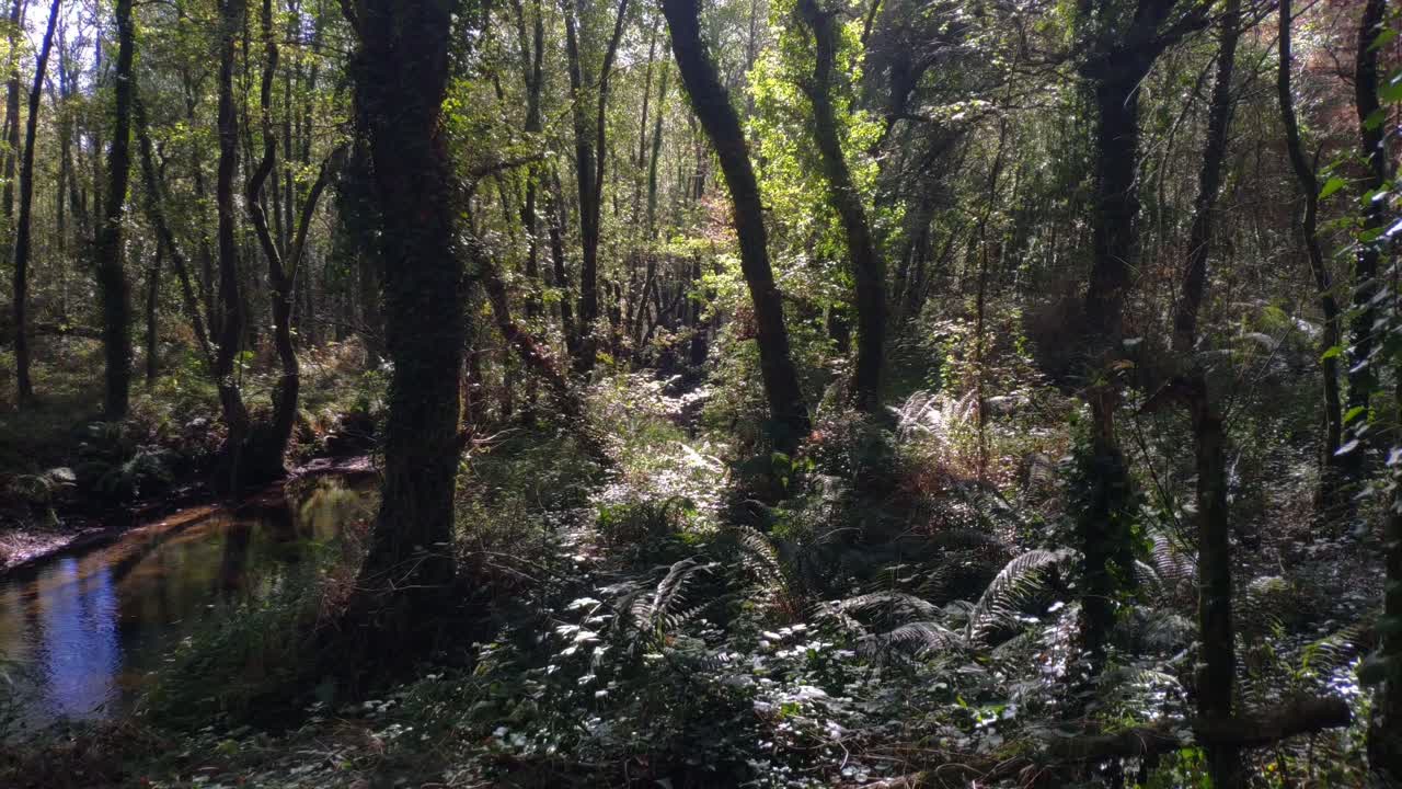 río que corre en medio del