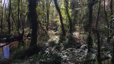 river that runs in the middle of the