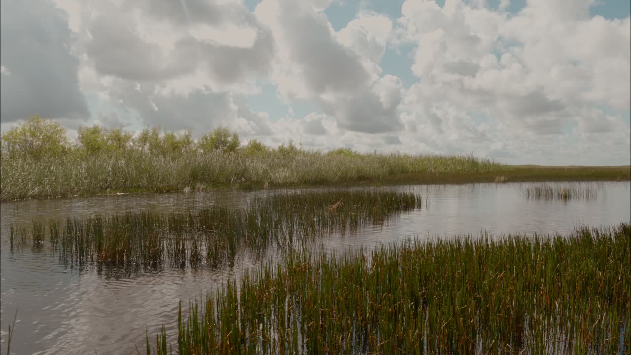 Peaceful Marsh Landscape with Green Reeds and Cloudy Sky
