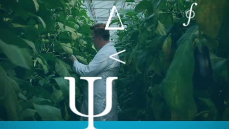 mathematical symbols against male scientist working in greenhouse laboratory