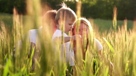 little smiling boy sitting in a wheat on the field. summer nature, walking outdoors. childhood happiness