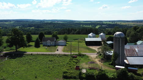 Pájaros-Volando-Más-Allá-De-Una-Granja-En-Los-Adirondacks