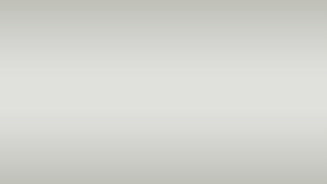 animación del texto de la moda y el bolso de mano sobre fondo gris