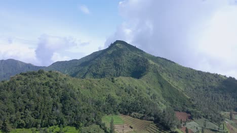 drone view of tropical mountain with overgrown by dense of forest