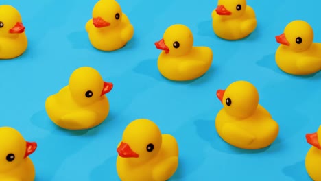 yellow rubber ducks swimming in place on blue background with one duck swimming through center path stop motion
