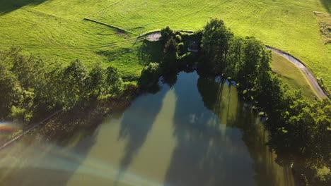 aerial shot of a pond surrounded by trees on an austrian mountain valley