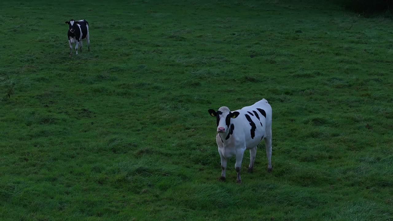 en tierras de cultivo en limburgo, austria