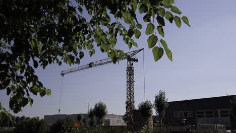 grúa de construcción industrial levantando objetos pesados
