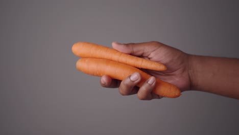 two carrots held in hand