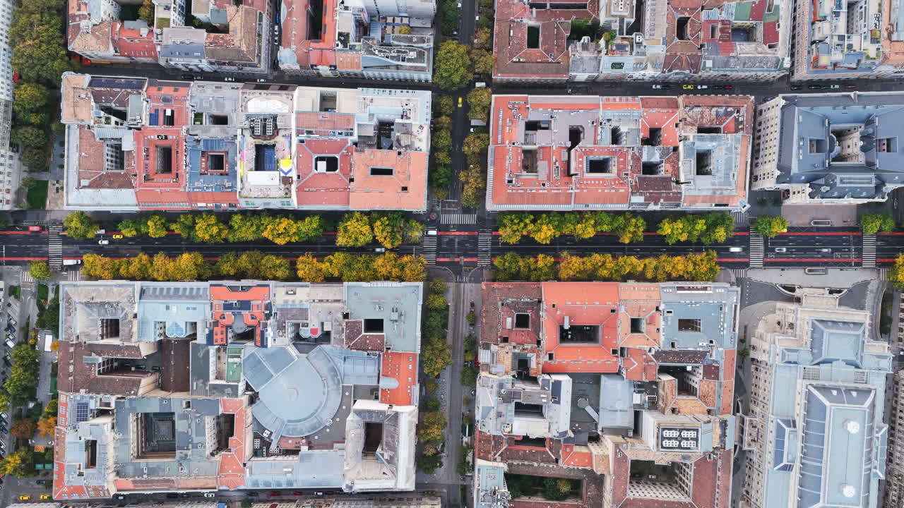 A perfect top-down shot of Budapest’s geometric city blocks and tree-lined streets, blending symmetry with urban charm