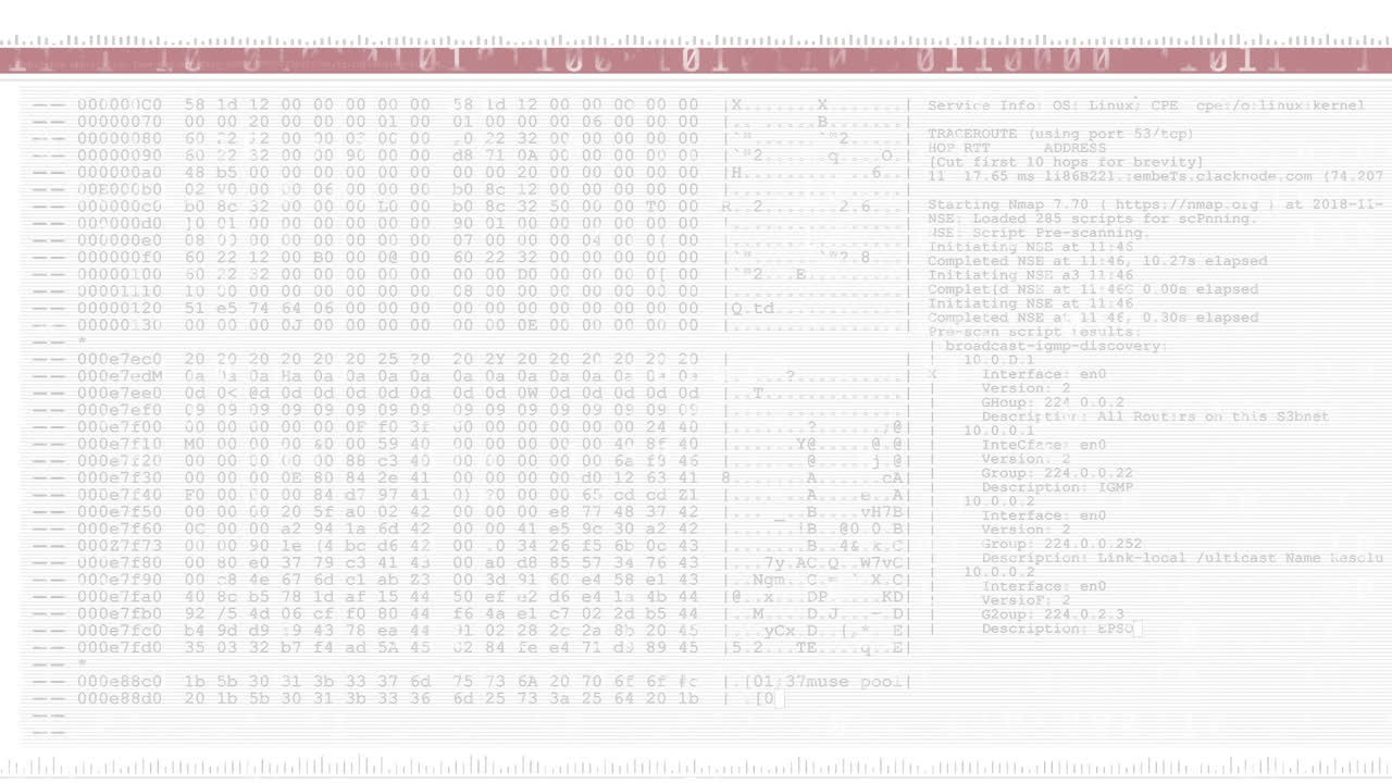 Animation of screen with computer data processing