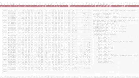 Animation-of-screen-with-computer-data-processing