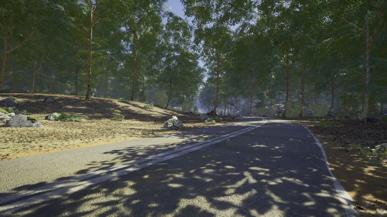 Forest pathway surrounded by trees under bright sunlight in the afternoon