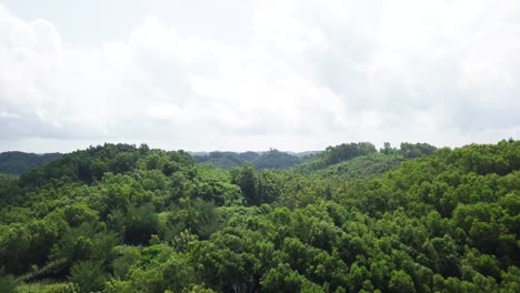 Cinematic-flight-over-dense-forest-growing-on-hills-with-cloudy-sky-and-sunlight-in-Asia