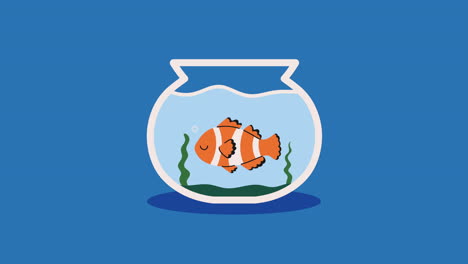 cute fish in aquarium character animation