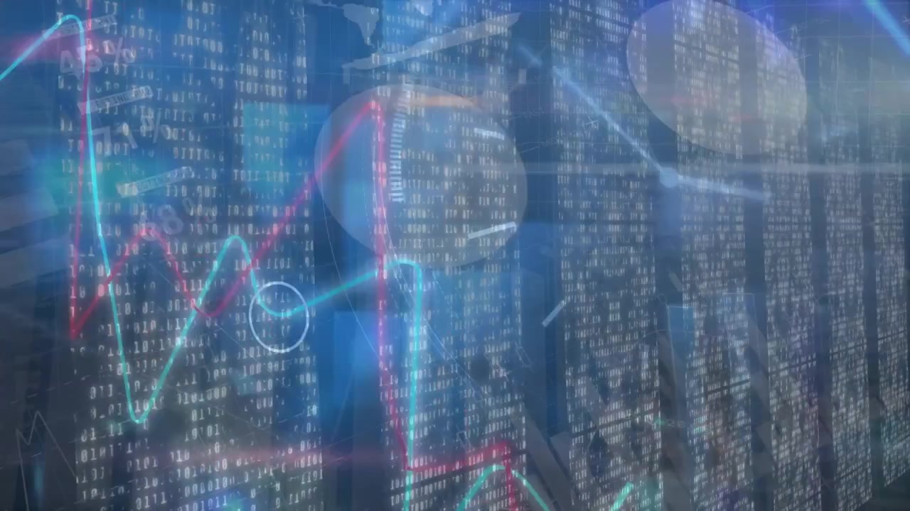 Animation of financial data processing over computer servers