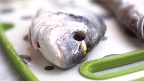 pescado de dorada fresco en un mostrador de mármol