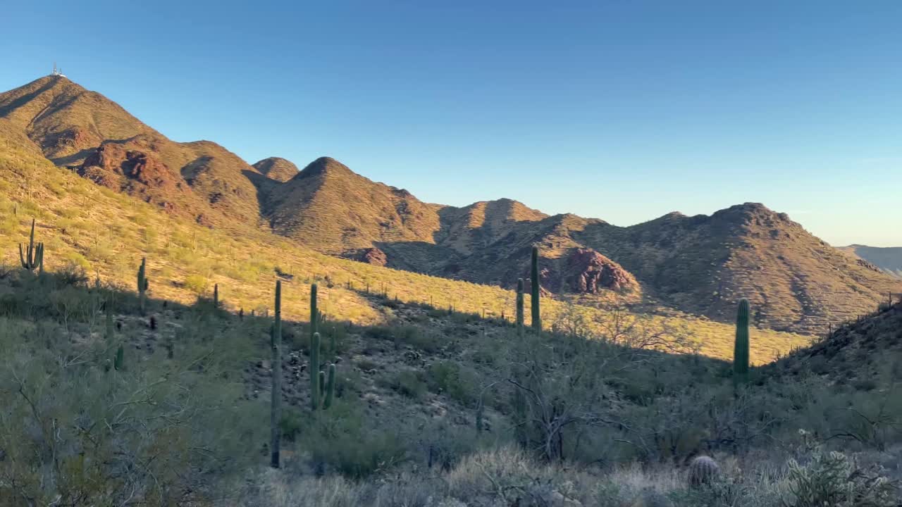 열린 사막을 가로지르는 팬에는 산, 언덕, 사와로 선인장, 애리조나 주 스코츠데일 근처의 다양한 사막 식물이 포함됩니다.