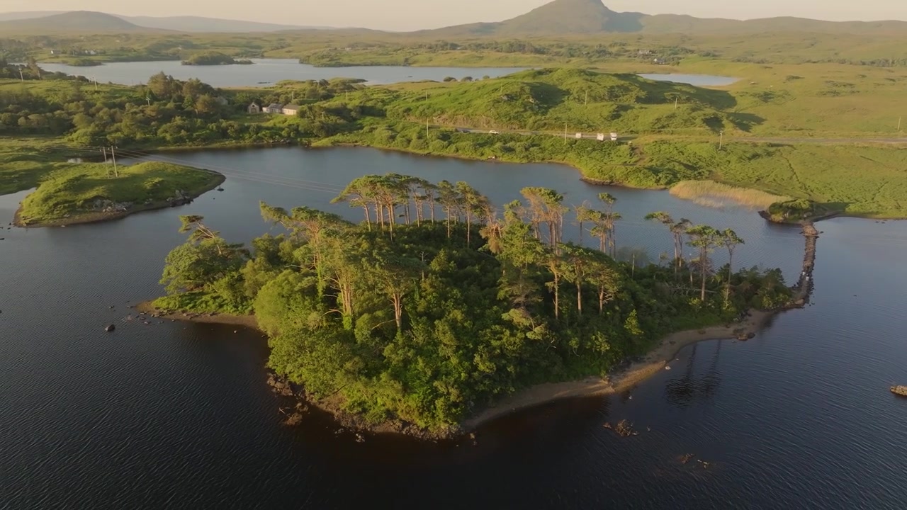 Compact pine-covered island sits in dark lake water beneath low evening sun and wide open Connemara hills.