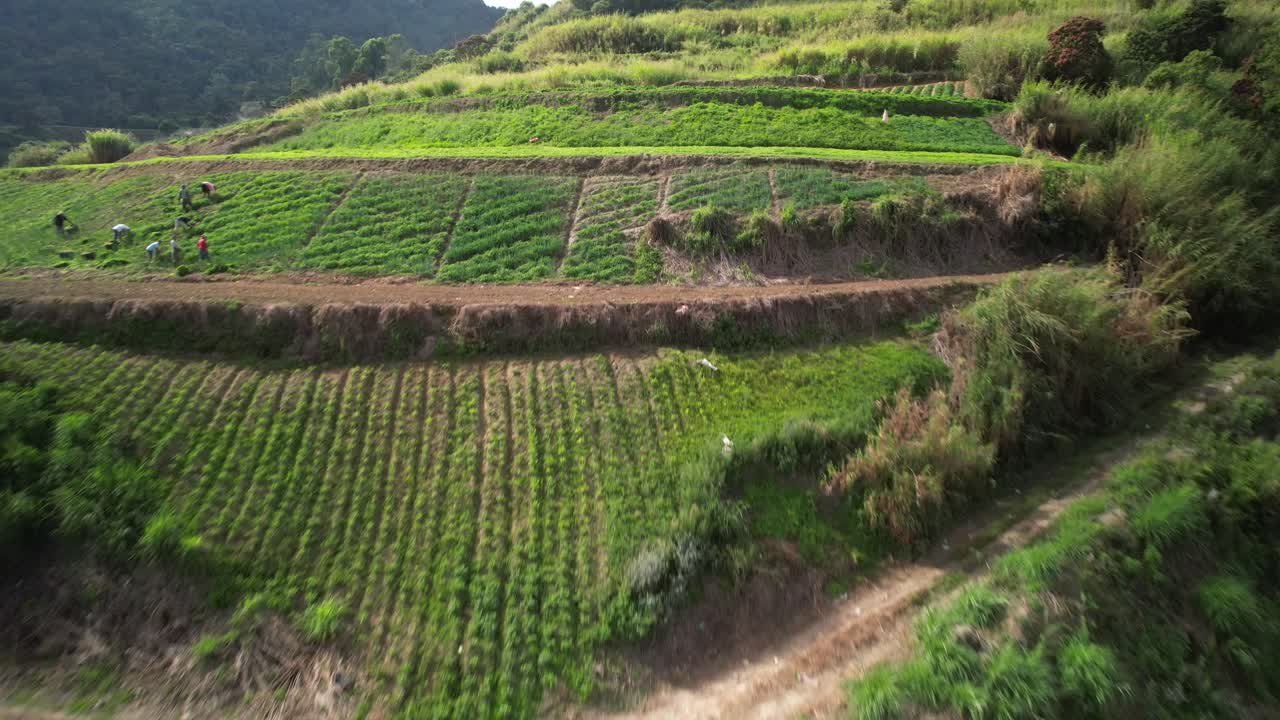 Lush green Venezuelan mountain farms with winding dirt roads and rustic structures