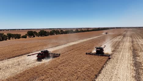 step into the world of cutting-edge machinery during a large-scale canola harvesting operation