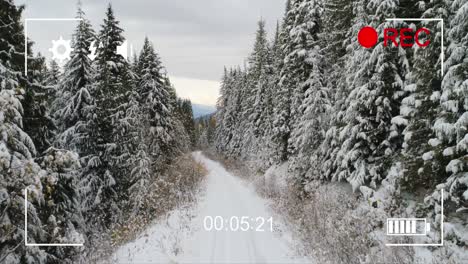 Wald-Im-Winter-Mit-Einer-Digitalkamera-4k-Filmen
