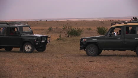 two off road vehicles in a savanna