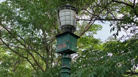 view of a vintage street lamp with trees in background in kolkata victoria memorial