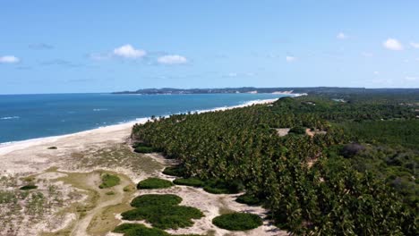 Truck-left-rotating-aerial-drone-shot-of-the-tropical-coastline-of-Rio-Grande-do-Norte-Brazil-with-a-white-untouched-beach,-blue-ocean-water,-and-palm-trees-in-between-Baia-Formosa-and-Barra-de-Cunha?