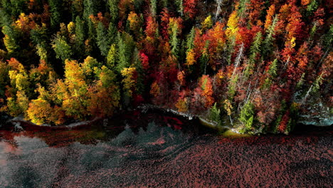 Toma-Aérea-De-Un-Dron-De-Hojas-Cambiando-De-Color-A-Lo-Largo-De-Un-Río-En-El-Campo-De-Austria