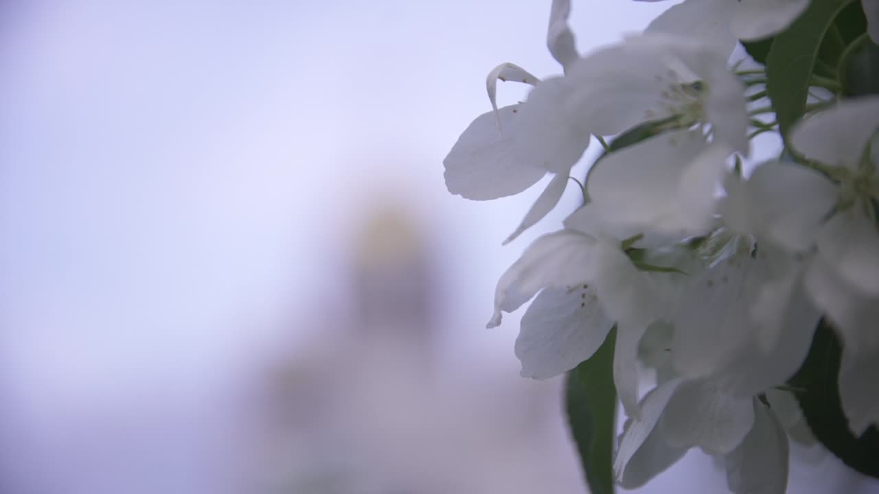 Flores de primavera frente a una iglesia