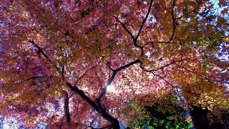 Mount Takao Day Trip: Explore Tokyo&#039;s Favorite Mountain