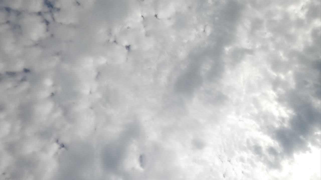 Cumulus clouds building in the sky. Cloudscape almost totally covering the horizon. Timelapse footage from below perspective.