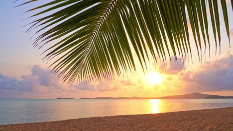 El-Hermoso-Paisaje-Marino-De-La-Puesta-De-Sol-Revela-La-Inclinación-Hacia-Abajo,-El-Primer-Plano-De-La-Hoja-De-Palma